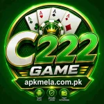 C222 Game
